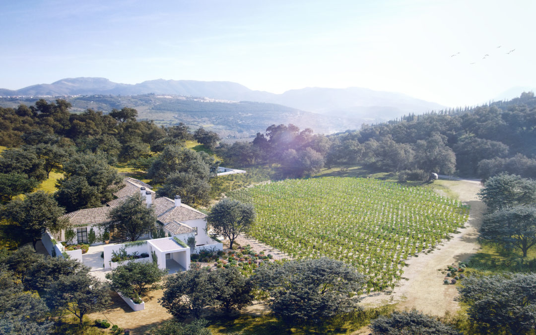 La Dehesa del Prado – A Winery Estate Within The Wine & Country Club