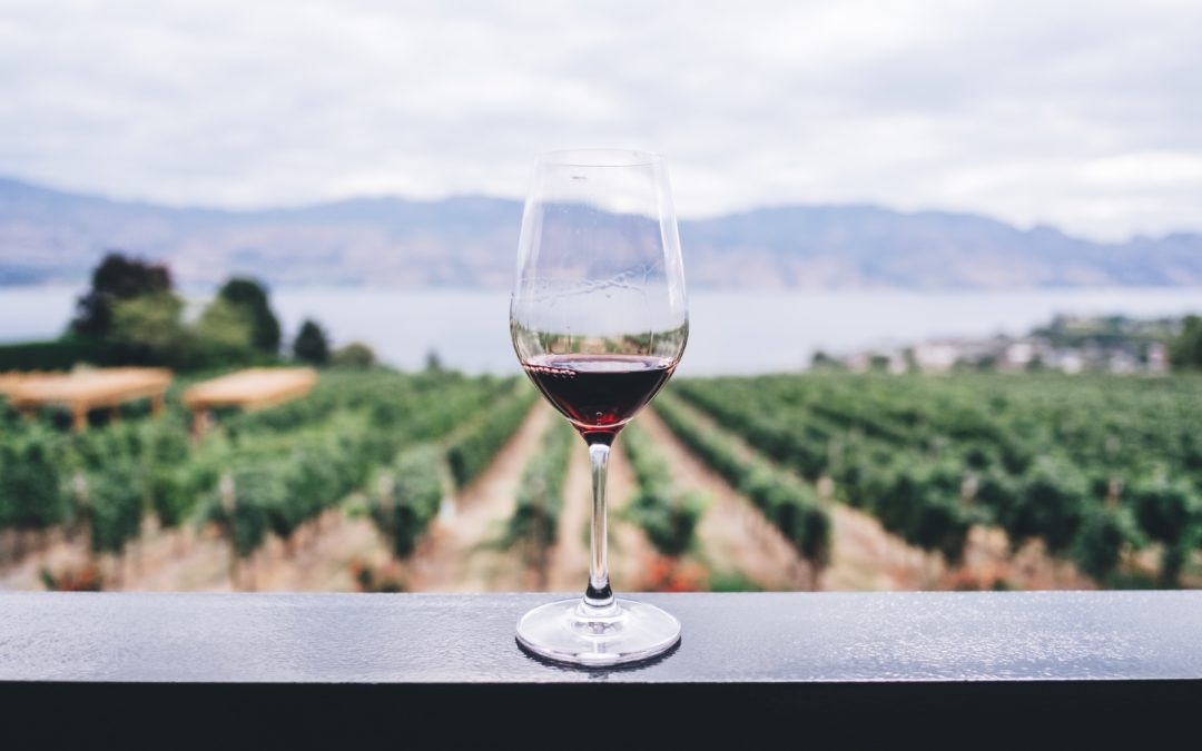 La cata de vinos, un proceso fundamental